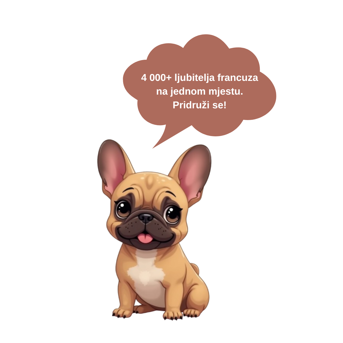 Pridruži se Facebook zajednici francuskih buldoga